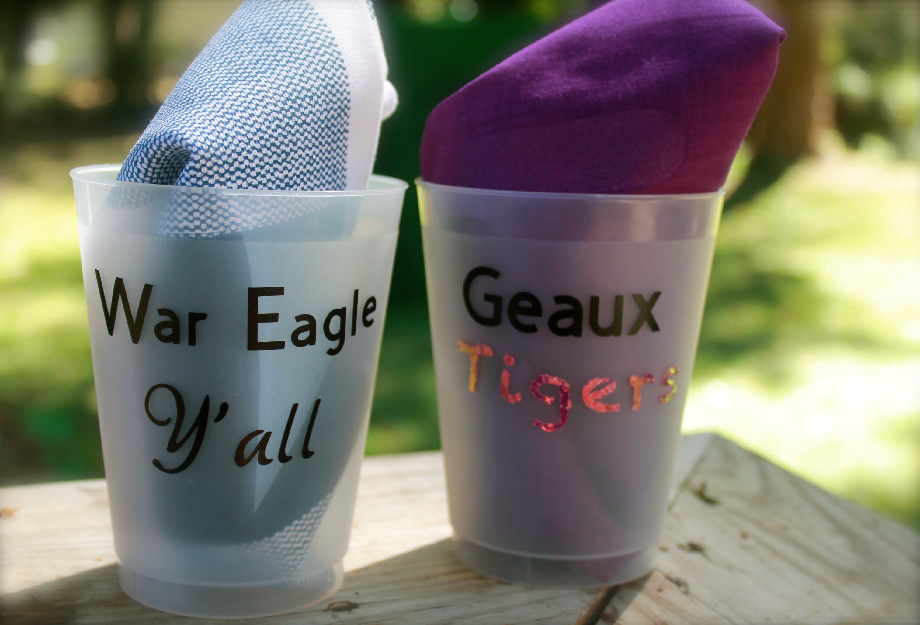 College GameDay Cups